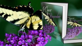 I choose to Remember book and butterfly